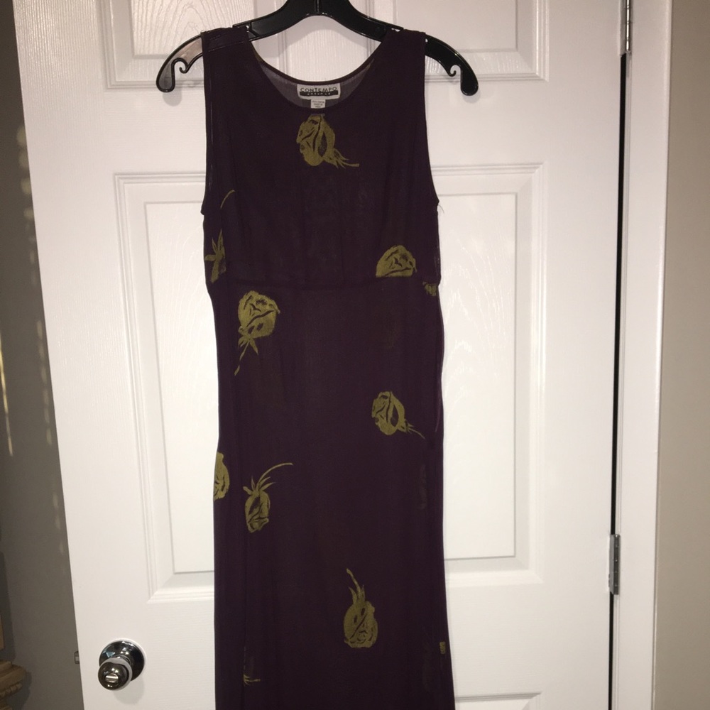 Sheer Maxi Dress